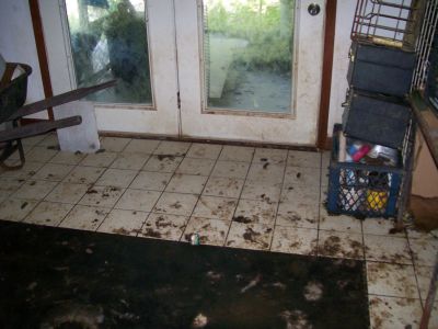HH-0015
Photo Date: 6-11-2008
Photo Credit: Ginger Harrington, Hendricks County Health Department
Description: This home was a puppy mill.  There were 2 individuals living in the home along with approximately 35 dogs.  This floor is covered in feces.  You can see where the ceramic tile remains but the dark area is subfloor.  They have removed the carpet probably due to urine and feces.  
